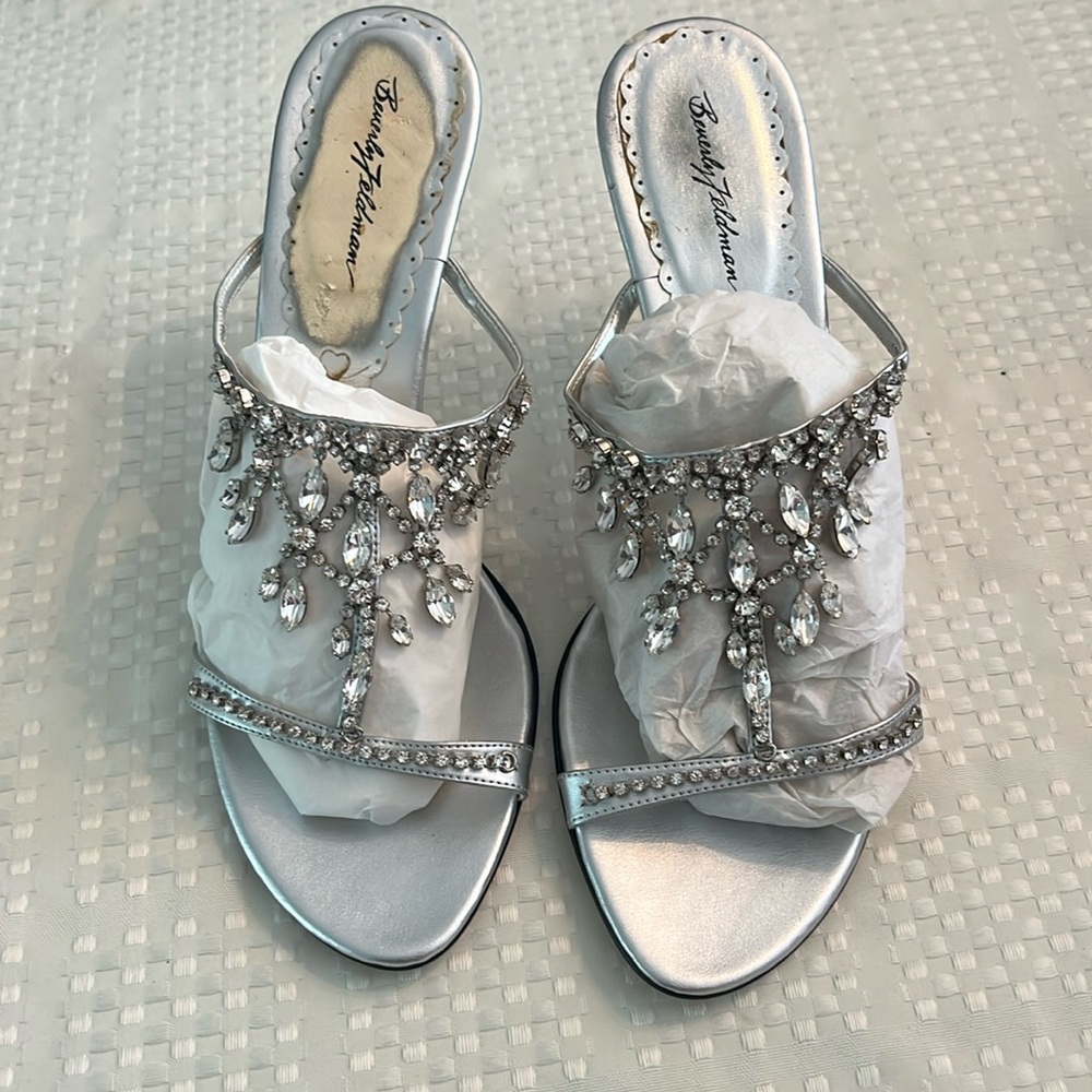Fancy Silver Slippers
